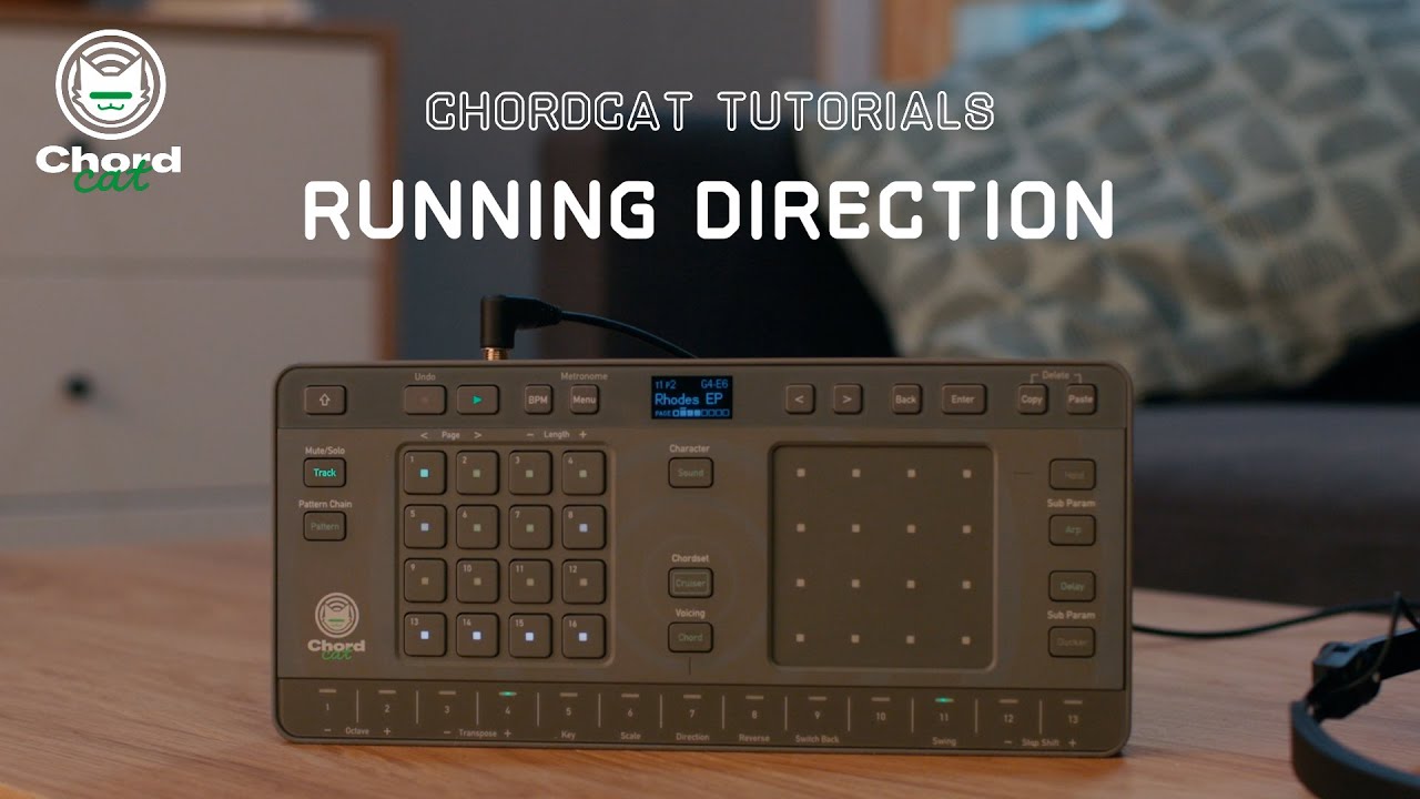 Chordcat MIDIコントローラー AlphaTheta Chordcat | コードレコメンド機能搭載のグルーブ